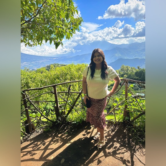 Lark + Grey skirt (brown with flowers) - Picture 2 of 4